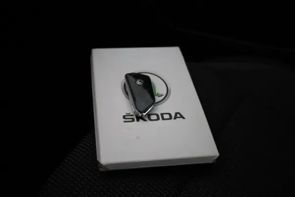 Skoda Octavia Break 2.0 TDI Scout DSG 4x4 38