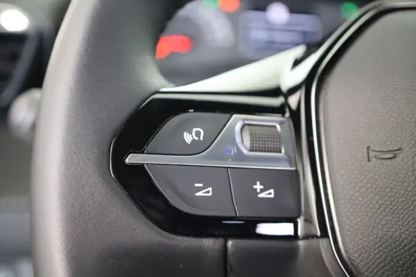 Peugeot 2008 PureTech 100 Style 38