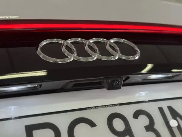 Audi SQ8 TFSI quattro Tiptronic 24