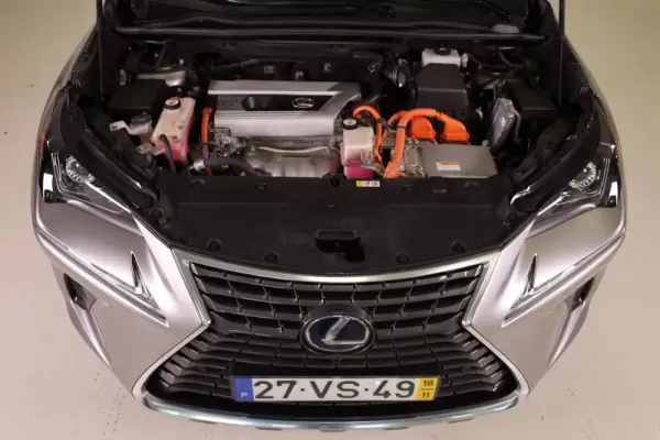 Lexus NX 300h Executive Plus 10