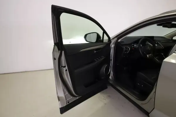 Lexus NX 300h Executive Plus 18