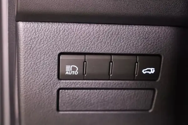 Lexus NX 300h Executive Plus 49