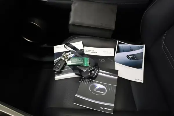 Lexus NX 300h Executive Plus 51