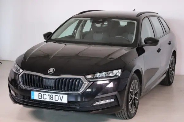 Skoda Octavia Break 2.0 TDI Scout DSG 4x4 9