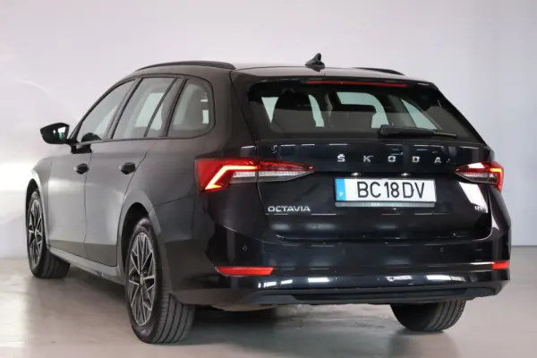 Skoda Octavia Break 2.0 TDI Scout DSG 4x4 12