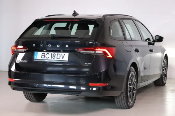 Skoda Octavia Break 2.0 TDI Scout DSG 4x4 18
