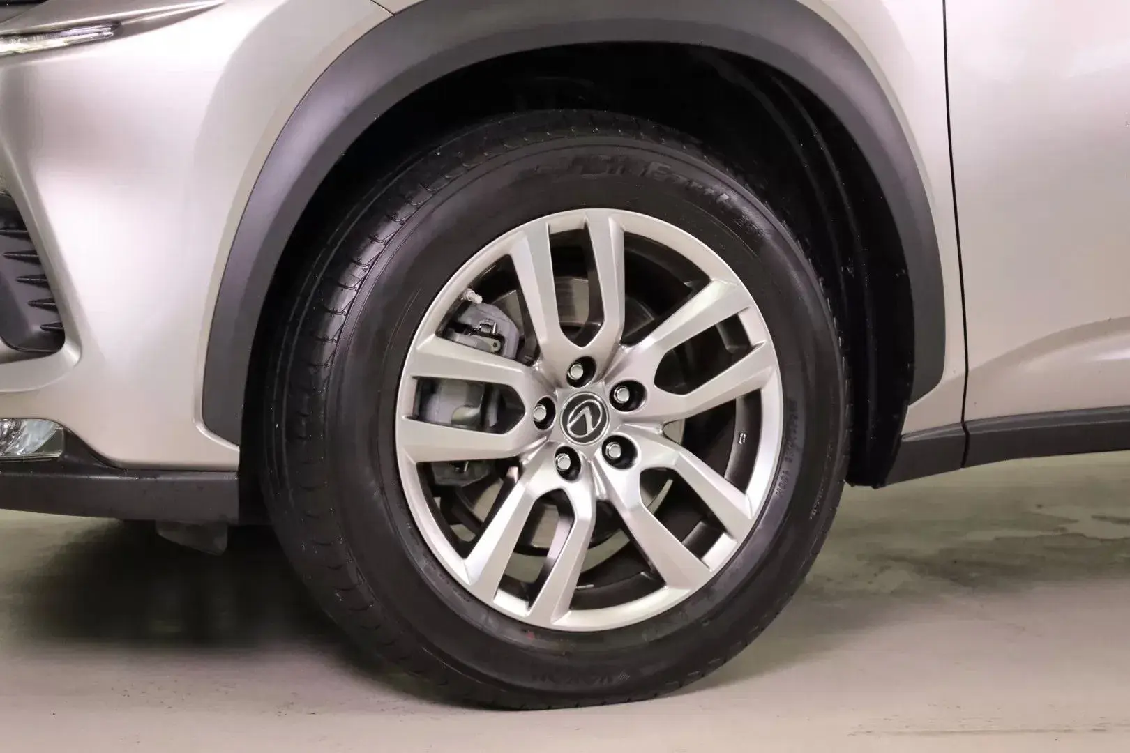 Lexus NX 300h Executive Plus 14