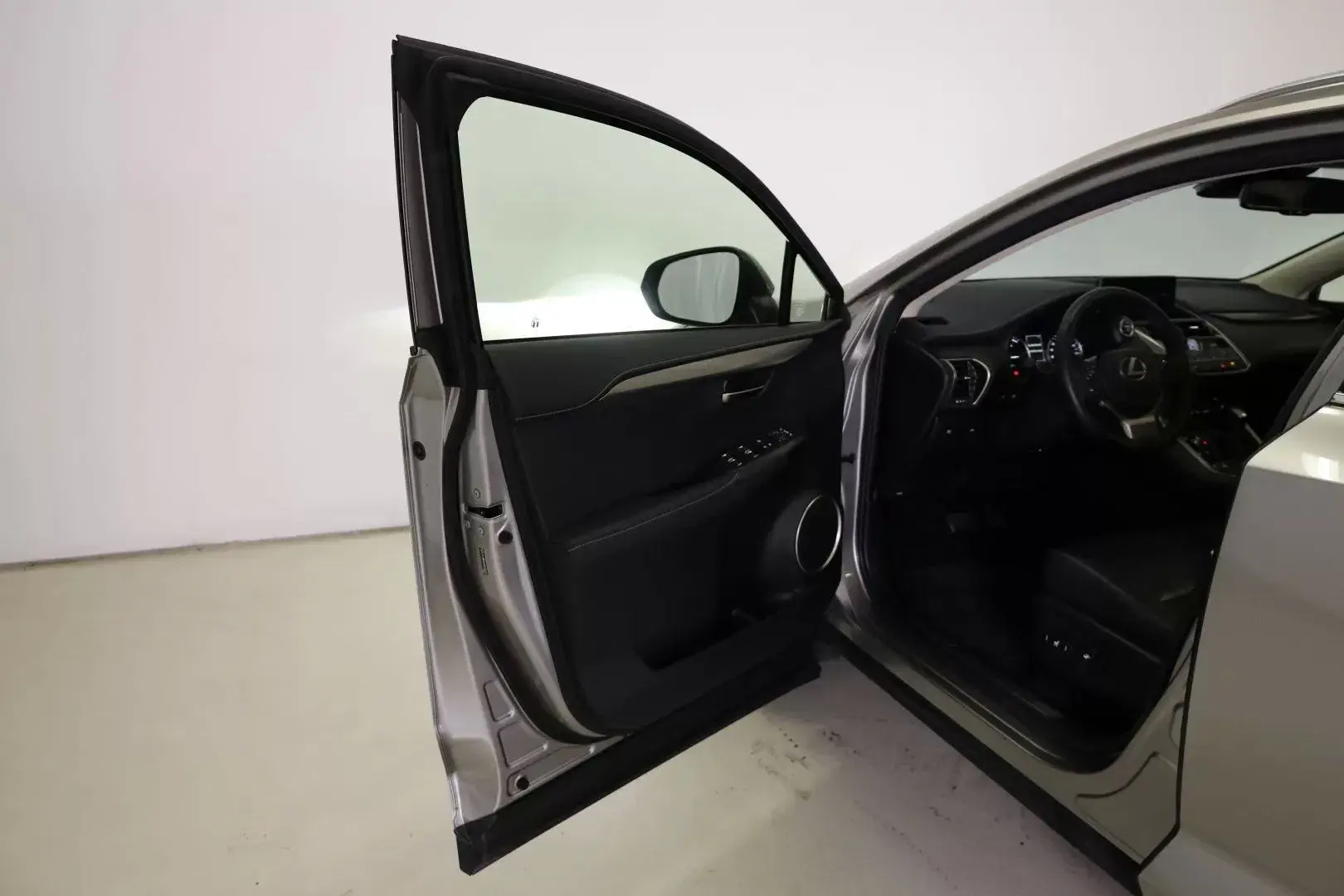 Lexus NX 300h Executive Plus 18