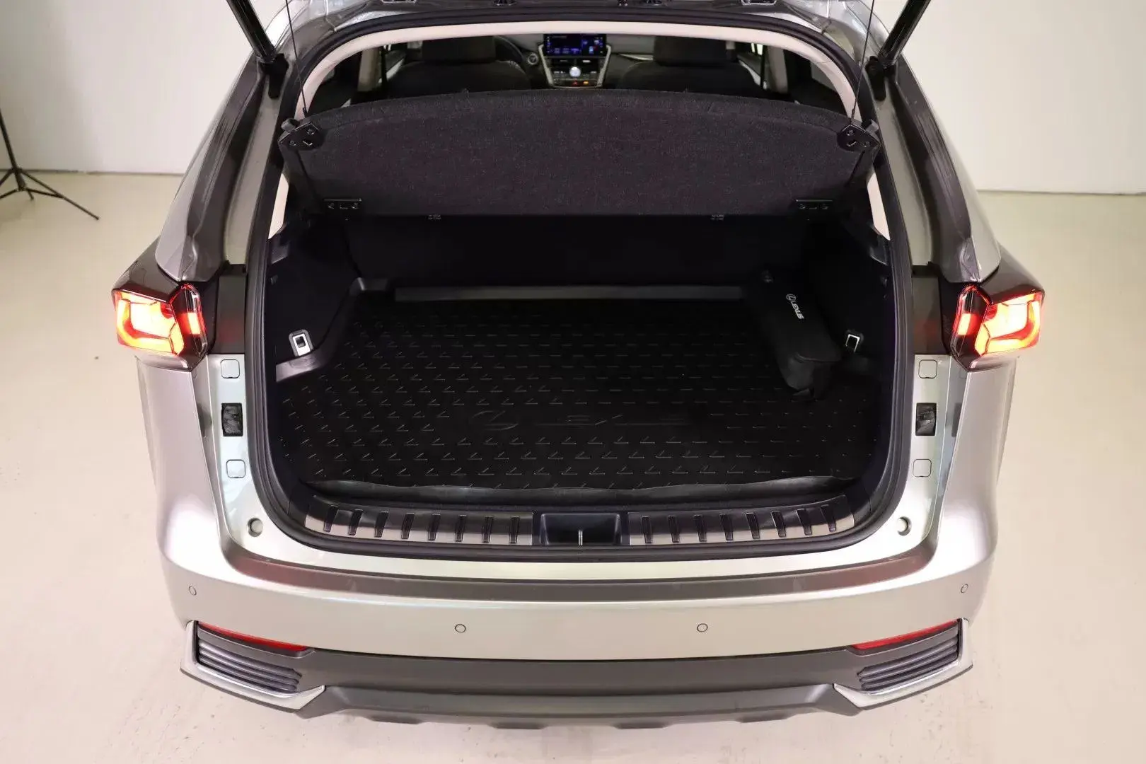 Lexus NX 300h Executive Plus 22