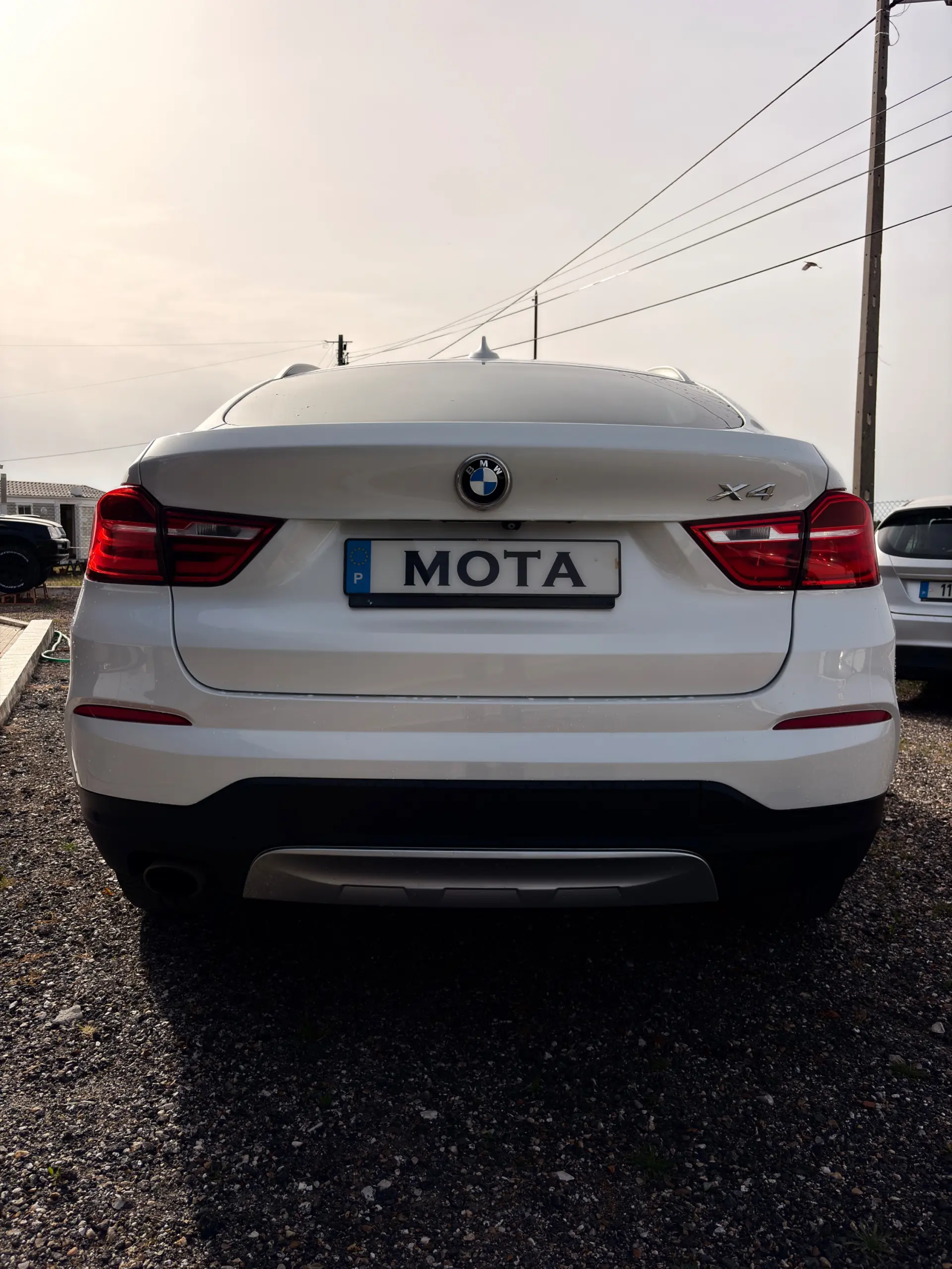 BMW X4 20 d xDrive Advantage Auto 6
