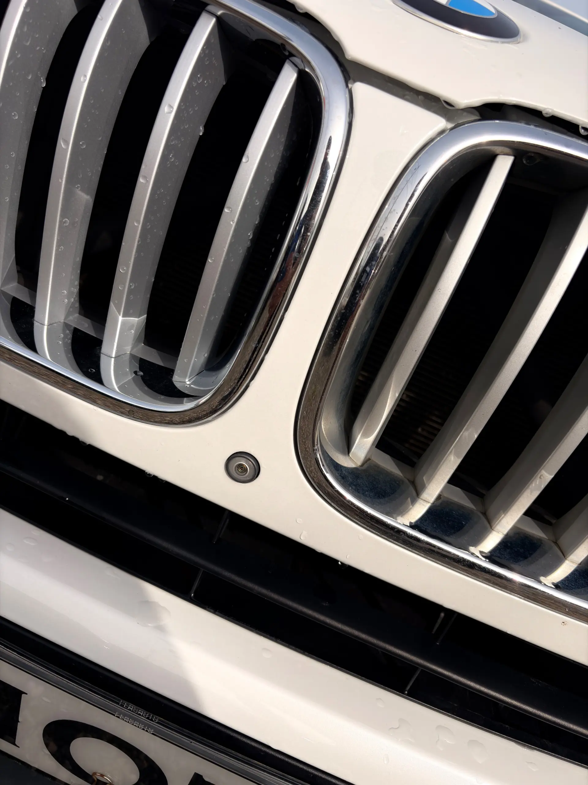 BMW X4 20 d xDrive Advantage Auto 8