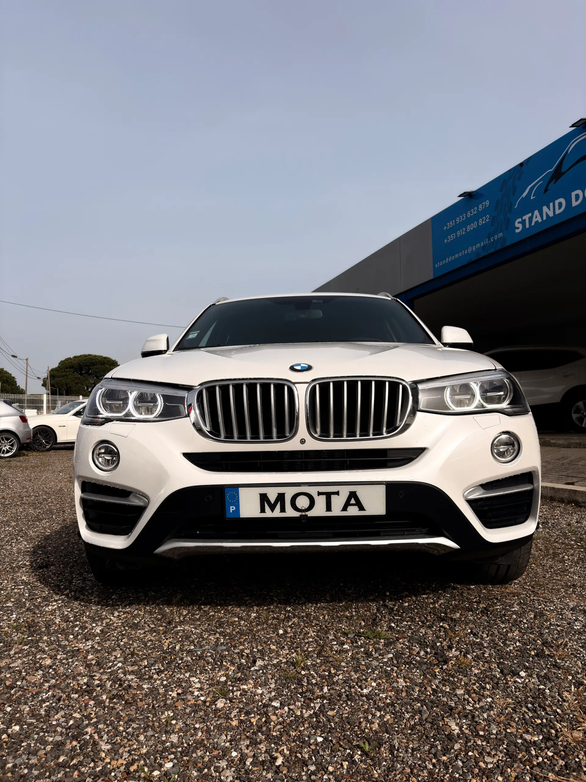 BMW X4 20 d xDrive Advantage Auto 3