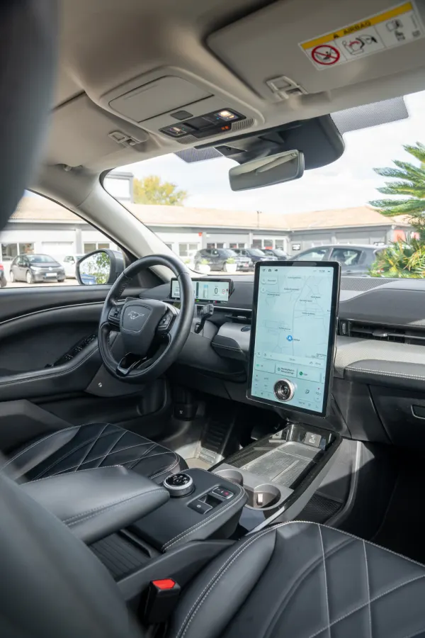 Ford Mustang Mach-E Standard 21