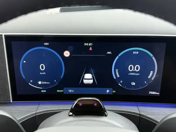 Hyundai Santa Fe 1.6 Plugin-Hybrid 4WD 7L Signature 10