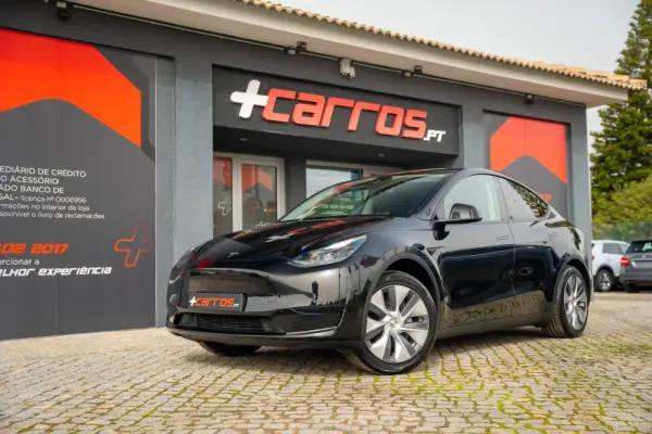 Tesla Model Y Standard 22