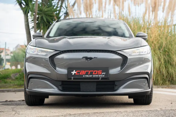 Ford Mustang Mach-E Standard 3