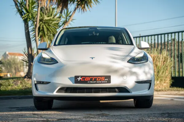 Tesla Model Y Long Range Dual Motor AWD 2