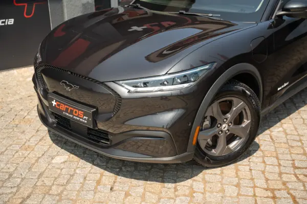 Ford Mustang Mach-E Standard 3