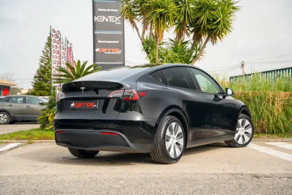 Tesla Model Y Standard 8