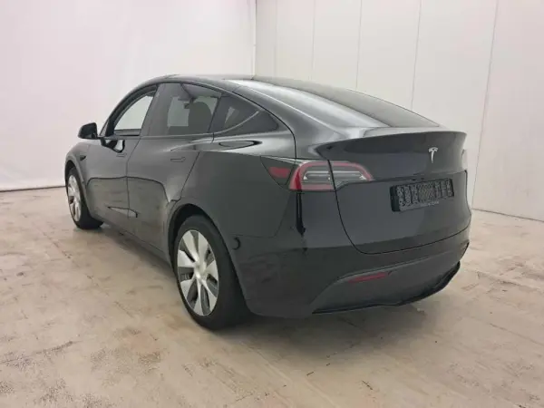 Tesla Model Y Standard 6