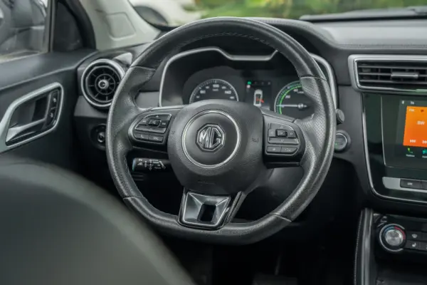 MG ZS Luxury 10