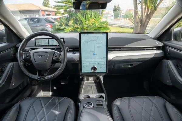 Ford Mustang Mach-E Standard 9