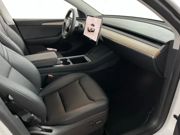 Tesla Model Y Long Range Tração Traseira 11