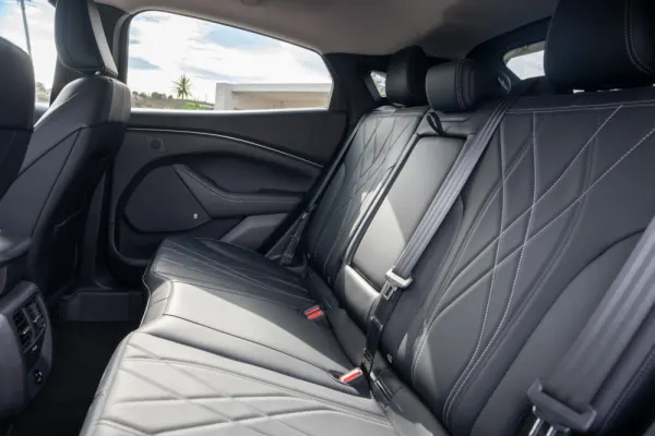 Ford Mustang Mach-E Standard 25