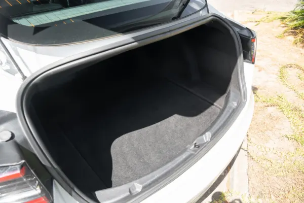 Tesla Model 3 Standard RWD Plus 19