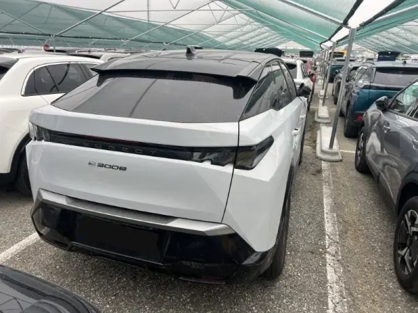 Peugeot E-3008 73 kWh GT 3