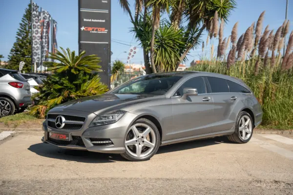 Mercedes-Benz CLS 350 CDi BlueEfficiency Shooting Brake 2