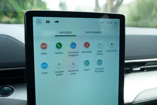 Ford Mustang Mach-E Standard 15