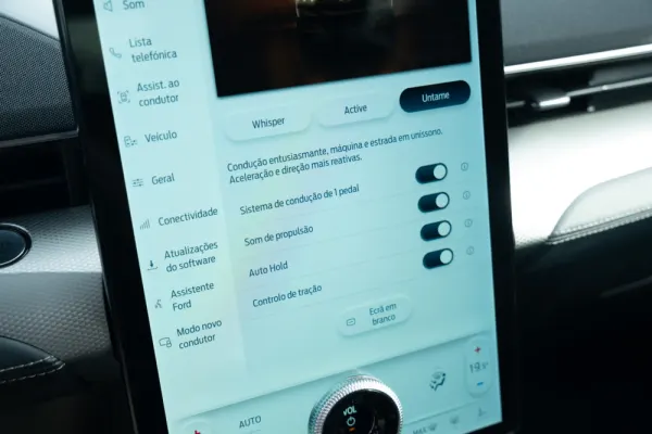 Ford Mustang Mach-E Standard 13