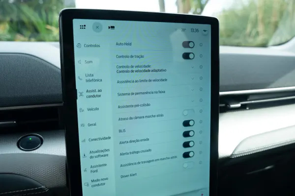 Ford Mustang Mach-E Standard 14