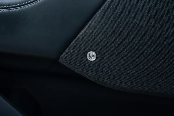 Ford Mustang Mach-E Standard 23