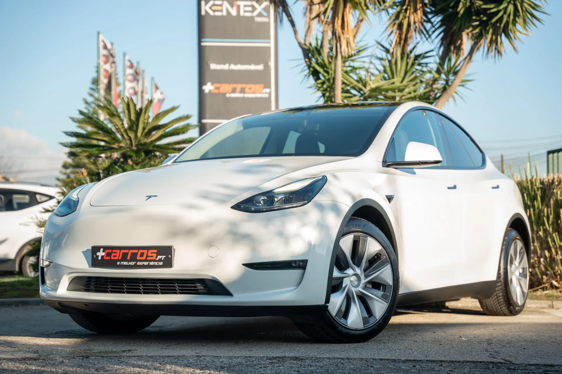 Tesla Model Y Long Range Dual Motor AWD 1