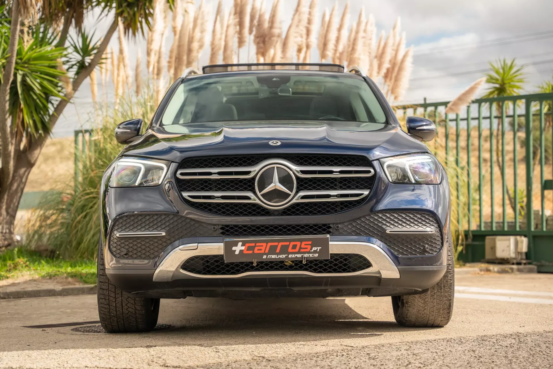 Mercedes-Benz GLE 350 de 4Matic 2
