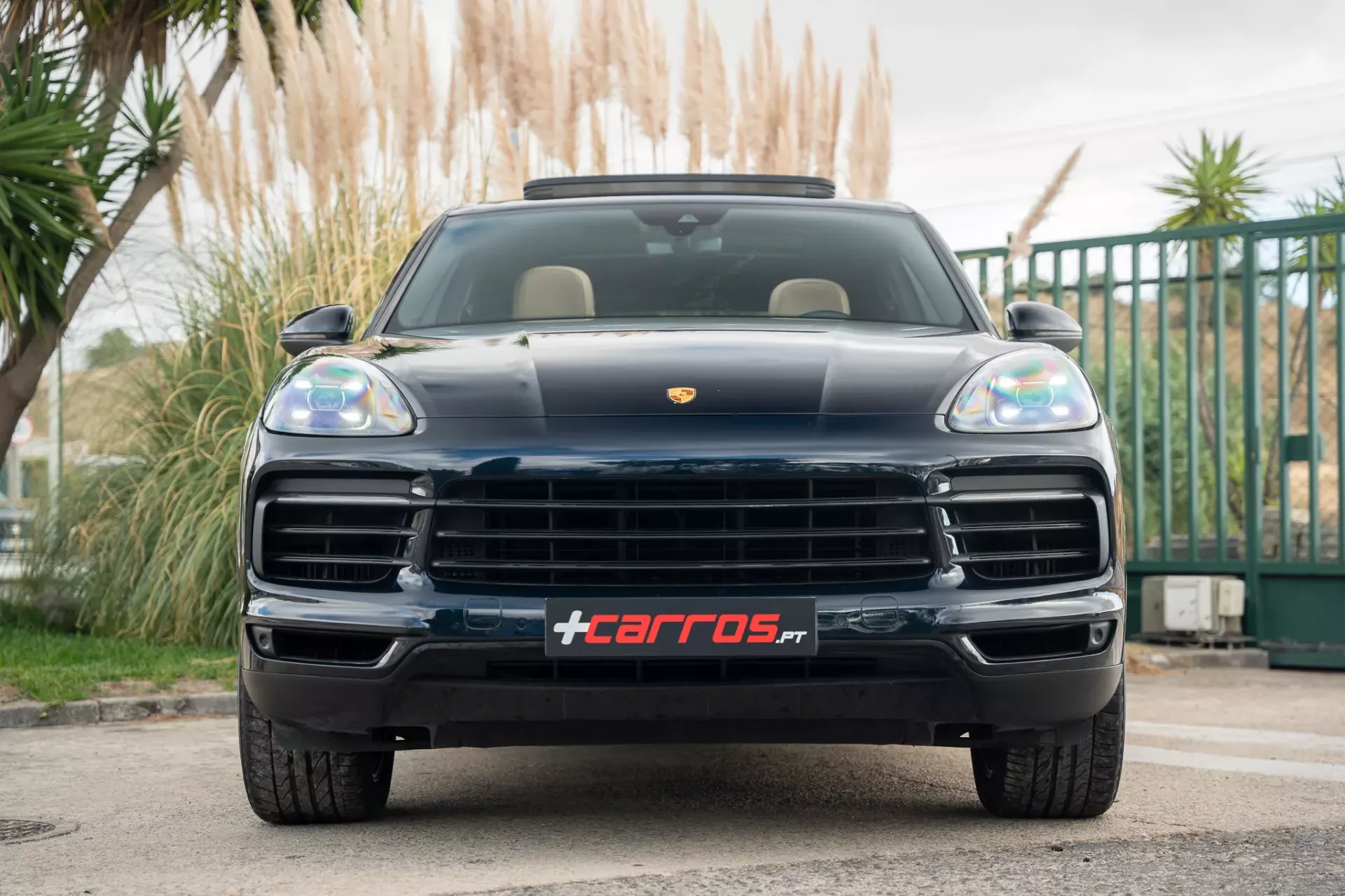 Porsche Cayenne E-Hybrid Platinum Edition 4