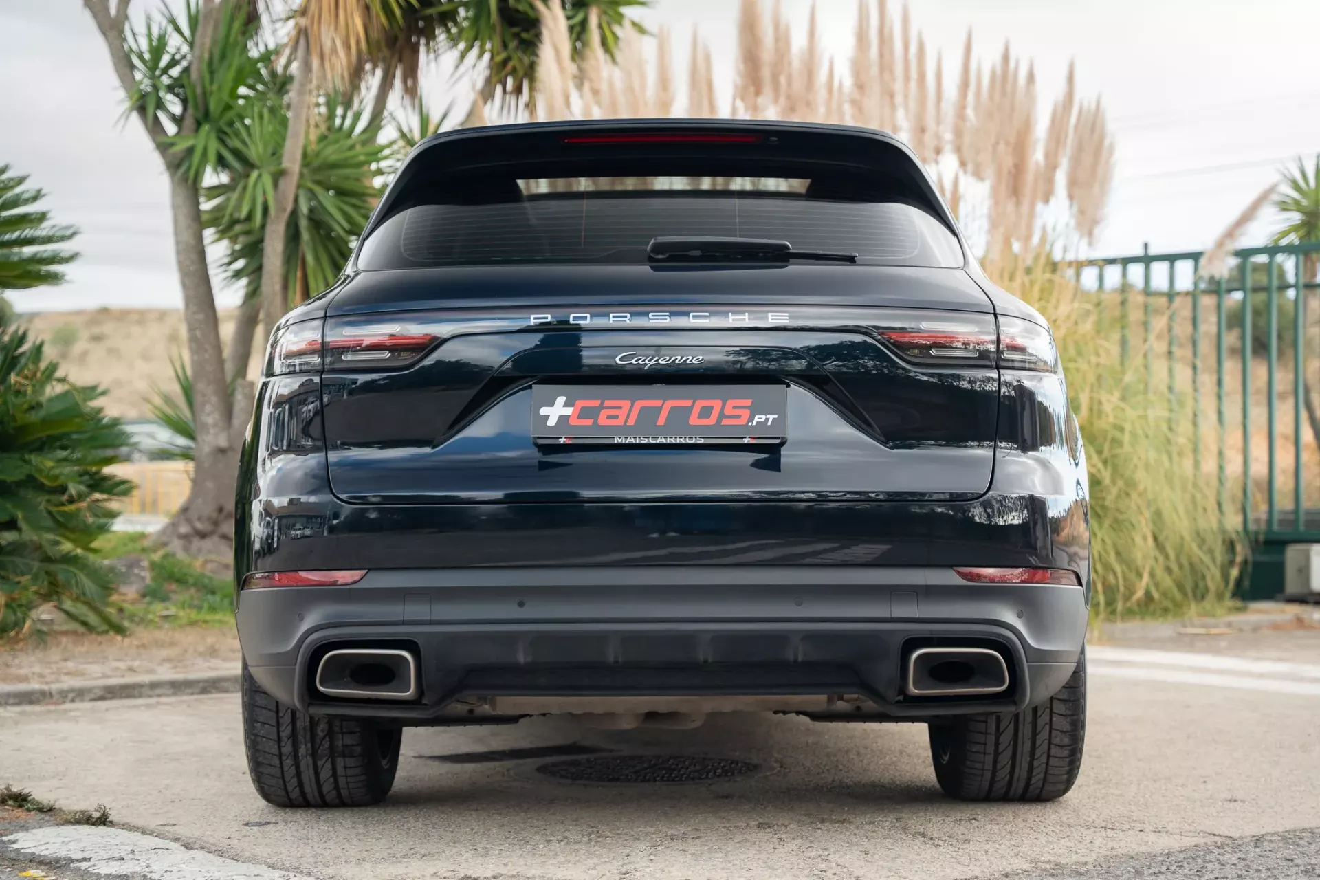 Porsche Cayenne E-Hybrid Platinum Edition 5