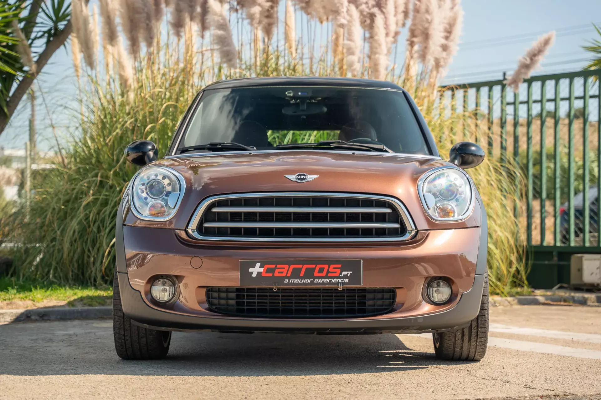 MINI Paceman Cooper D 2