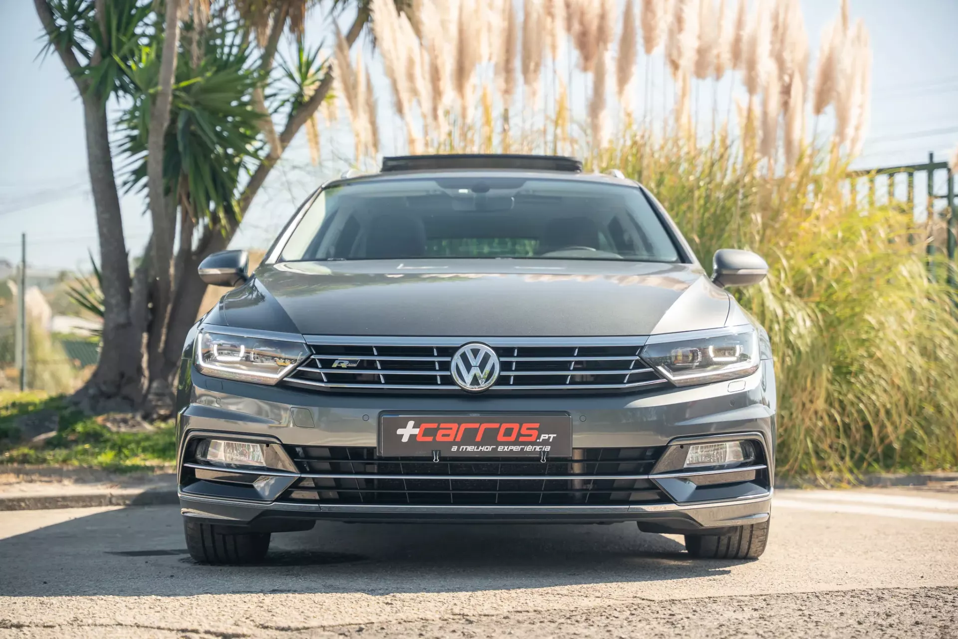 Volkswagen Passat Variant 4