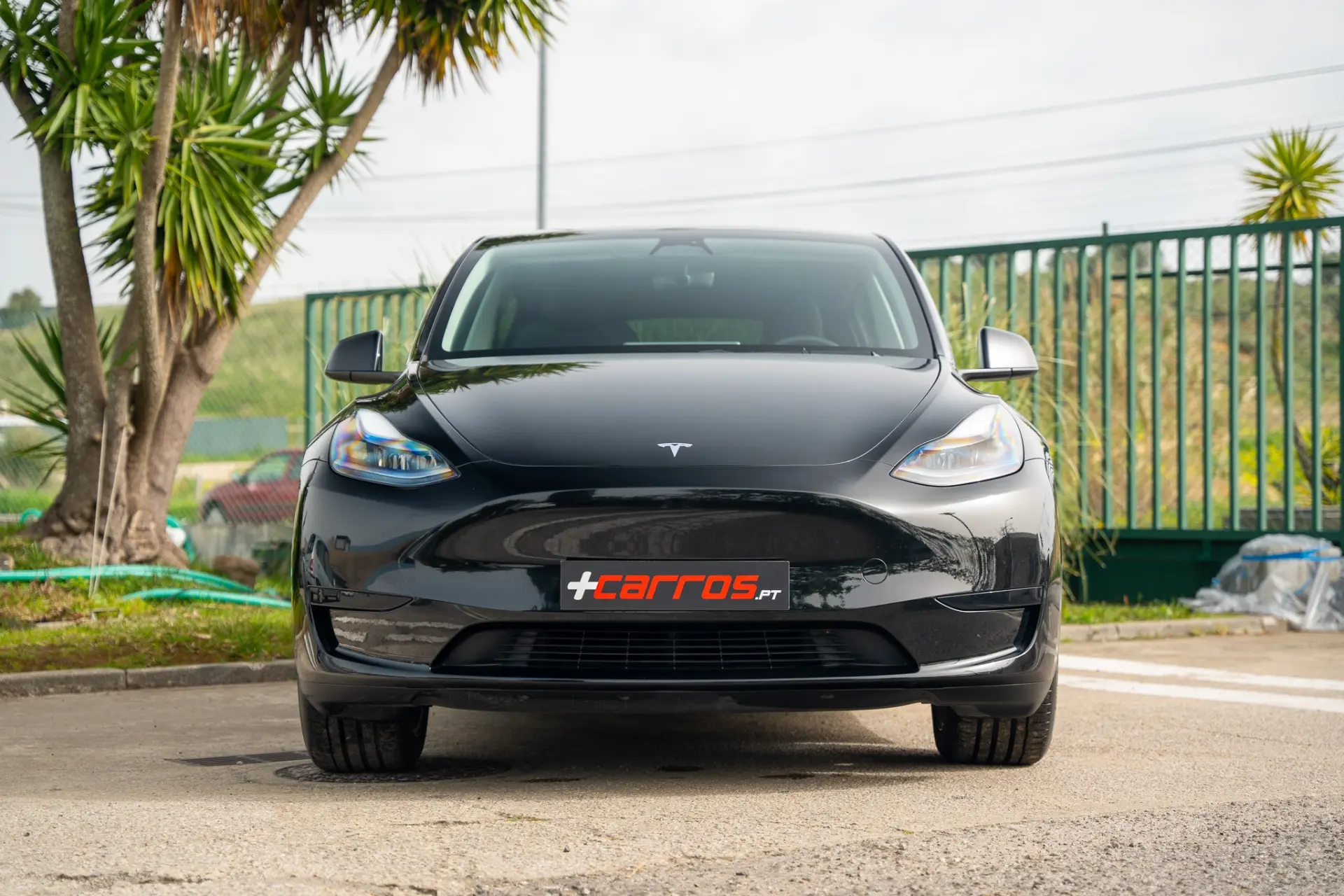 Tesla Model Y Standard 4