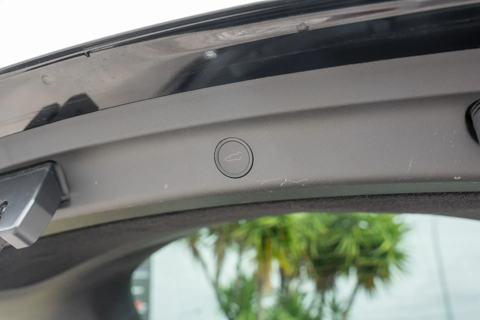 Tesla Model Y Standard 19