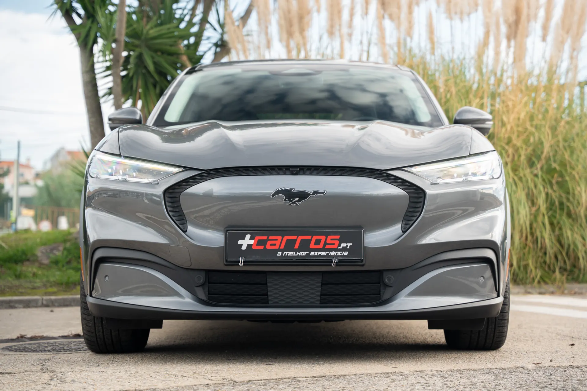 Ford Mustang Mach-E Standard 3