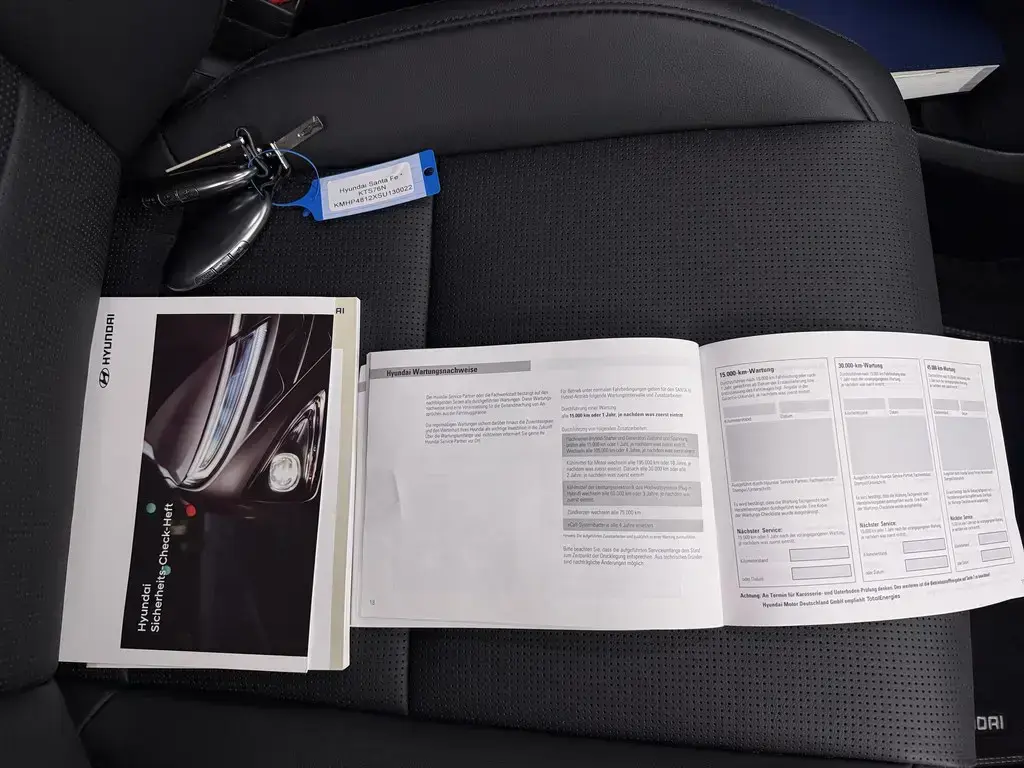 Hyundai Santa Fe 1.6 Plugin-Hybrid 4WD 7L Signature 30