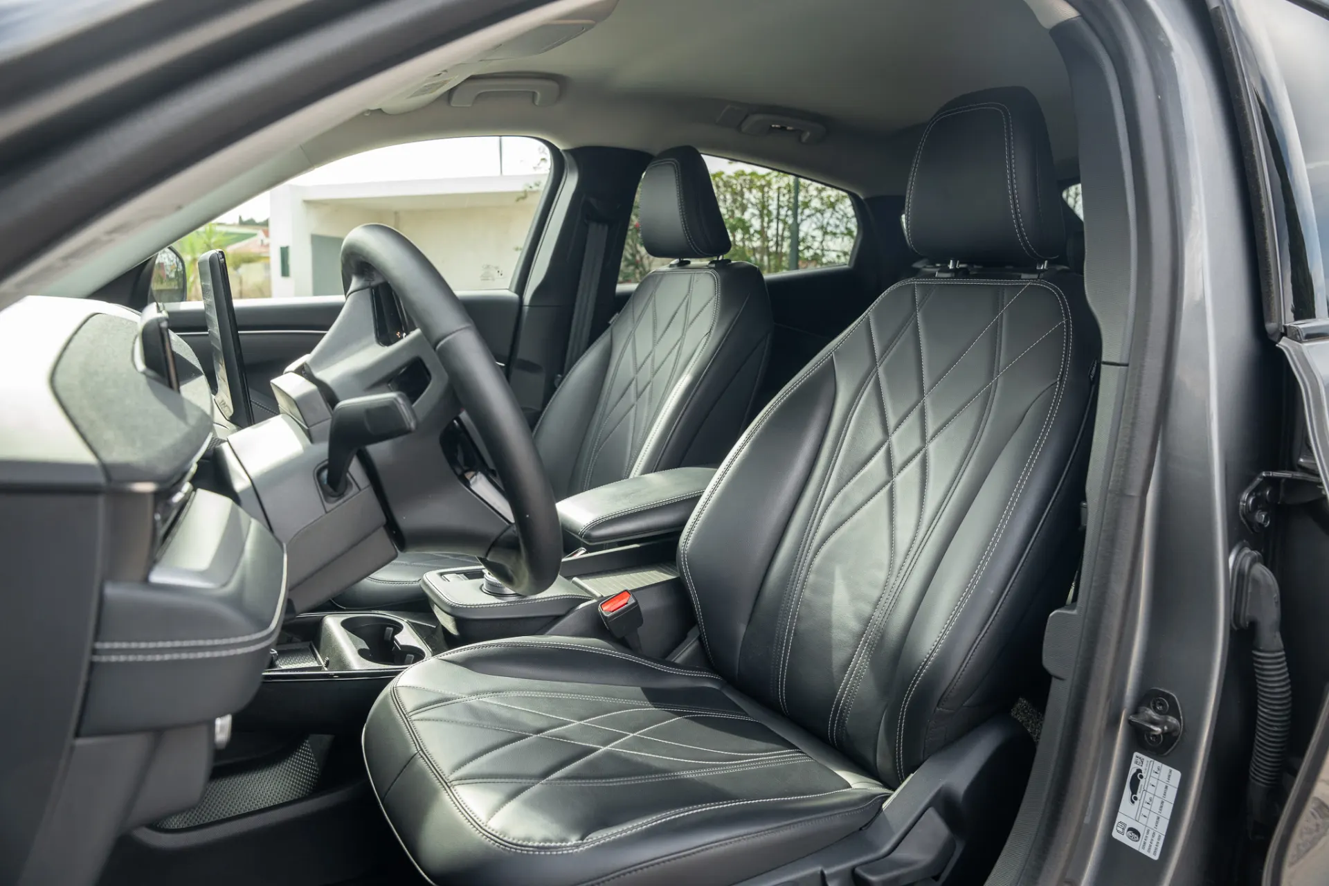 Ford Mustang Mach-E Standard 24