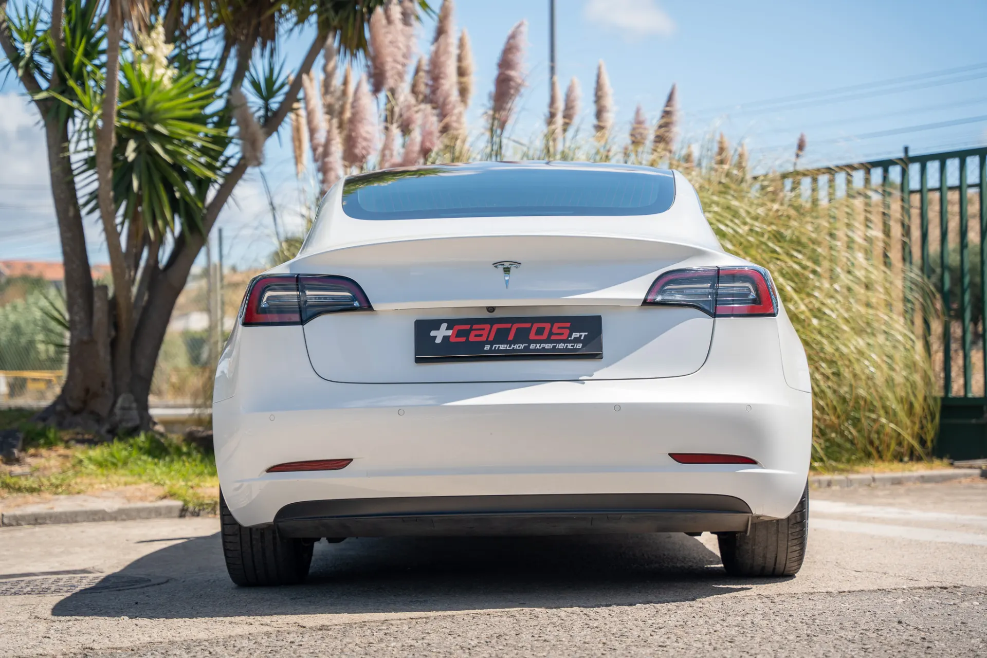 Tesla Model 3 Standard RWD Plus 4