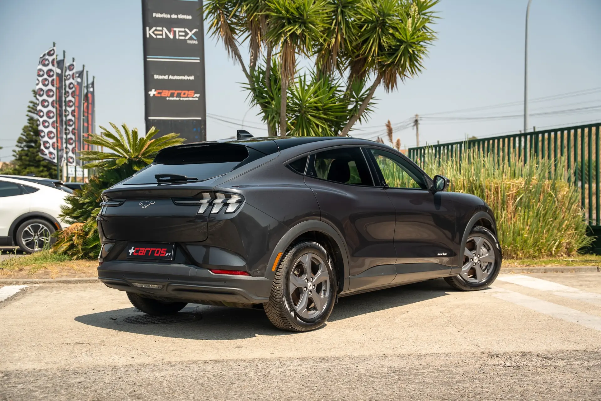 Ford Mustang Mach-E Standard 10