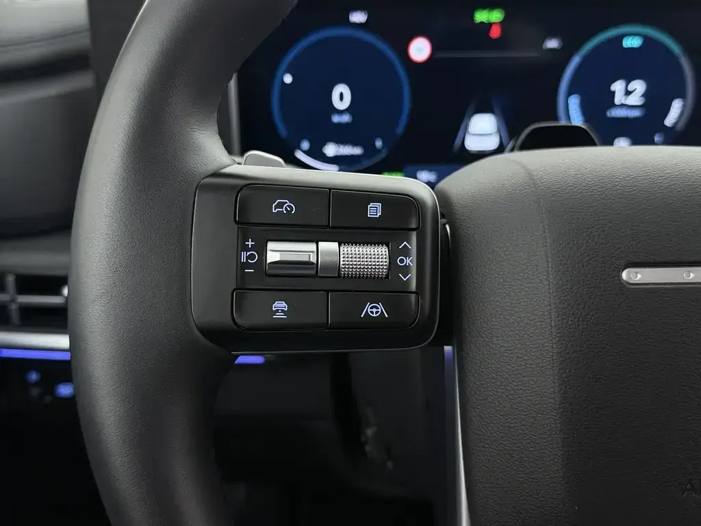 Hyundai Santa Fe 1.6 Plugin-Hybrid 4WD 7L Signature 9