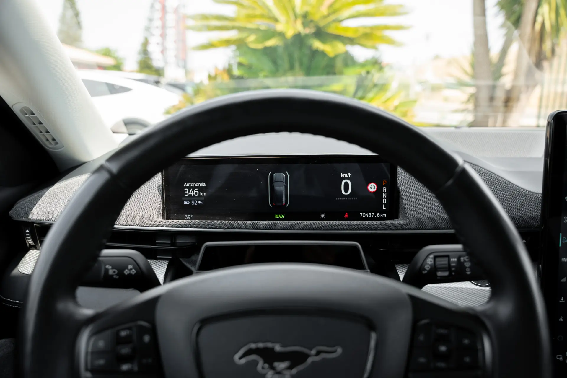 Ford Mustang Mach-E Standard 15